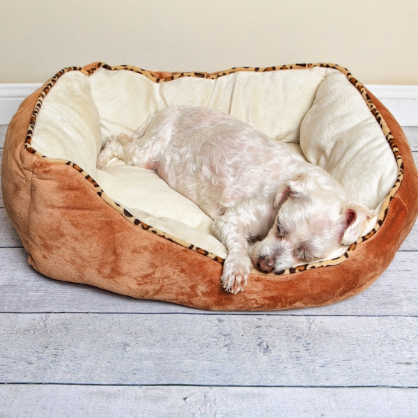 Doggie Bed Time Dog Bed (Dog not Included)